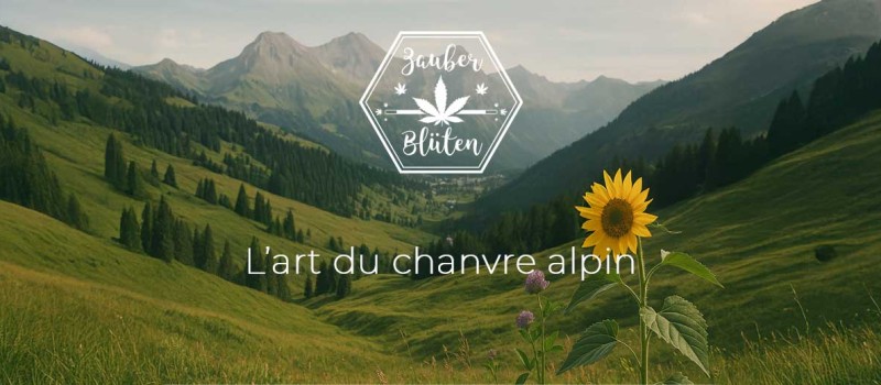 Zauber Blüten – L’art du chanvre alpin