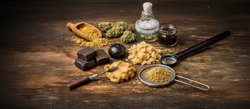 Les différentes formes de pollen et de hash CBD : comprendre les textures, méthodes et usages