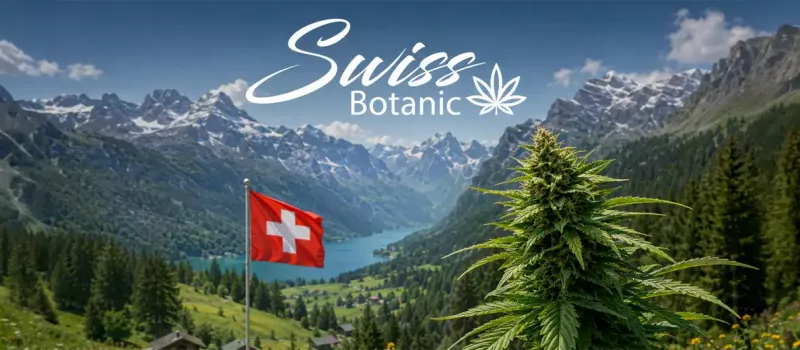 Swiss Botanic: eine Schweizer CBD-Marke mit Fokus auf Qualität und Verantwortung