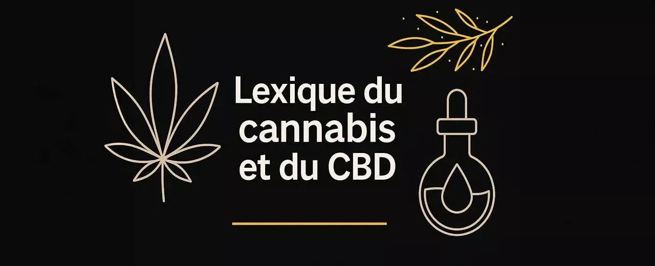 Cannabis- und CBD-Lexikon: die wichtigsten Begriffe einfach erklärt