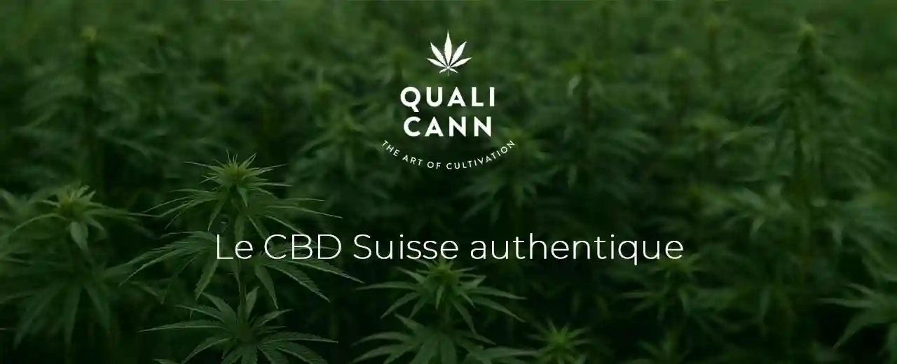 Qualicann: eine Schweizer Referenz für verantwortungsvolle und authentische CBD-Produkte