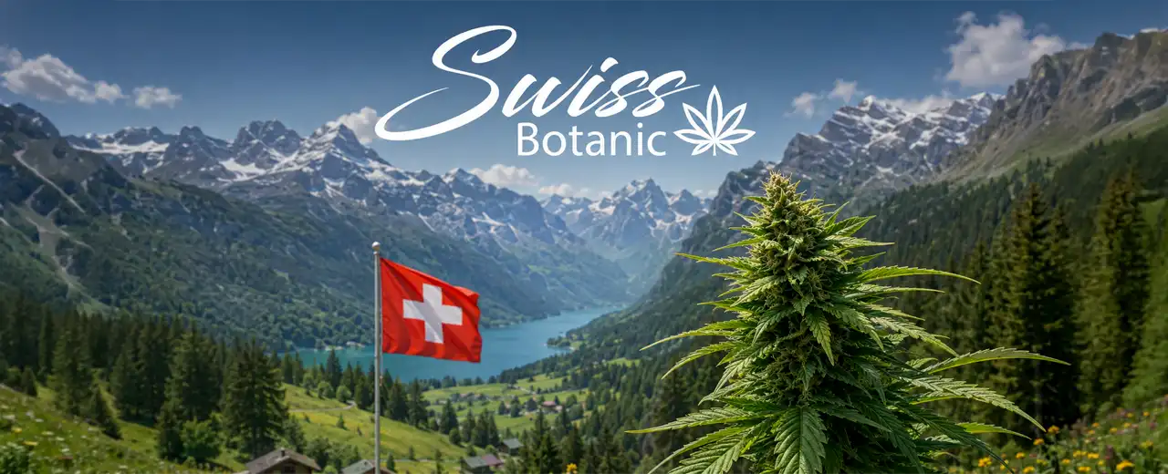 Swiss Botanic: eine Schweizer CBD-Marke mit Fokus auf Qualität und Verantwortung
