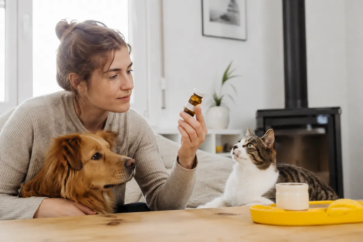 CBD und Tiere: Antworten auf praktische Fragen und unerwartete Situationen