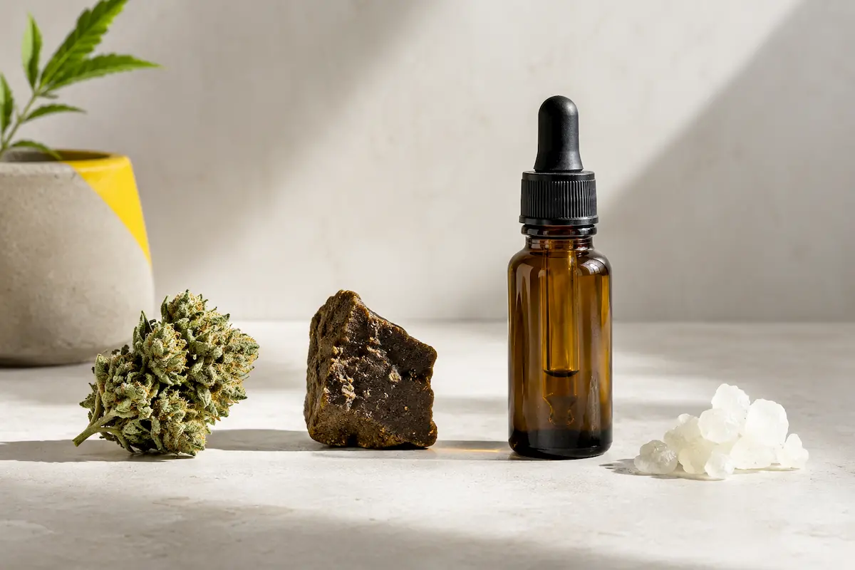 Formes de CBD : quelles différences entre fleurs, résines, huiles et extraits ?