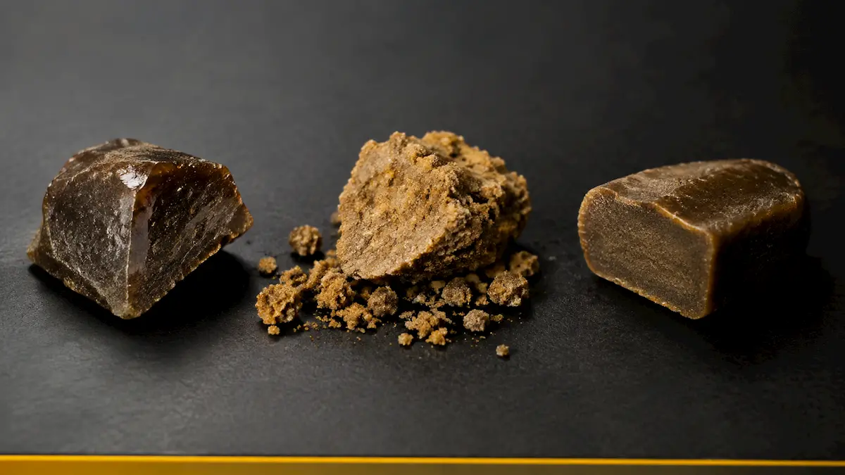 Textures du hash : comprendre glassy, cured, friable et crémeux