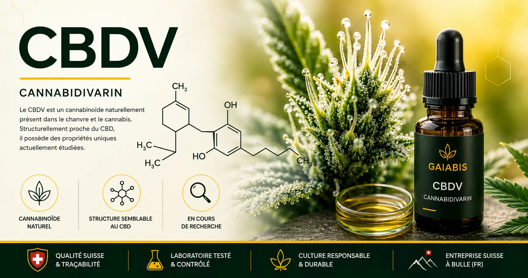 CBDV