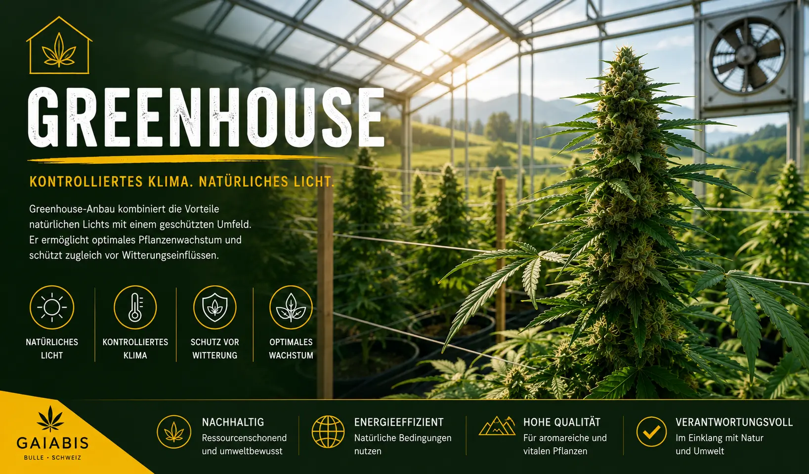 Greenhouse