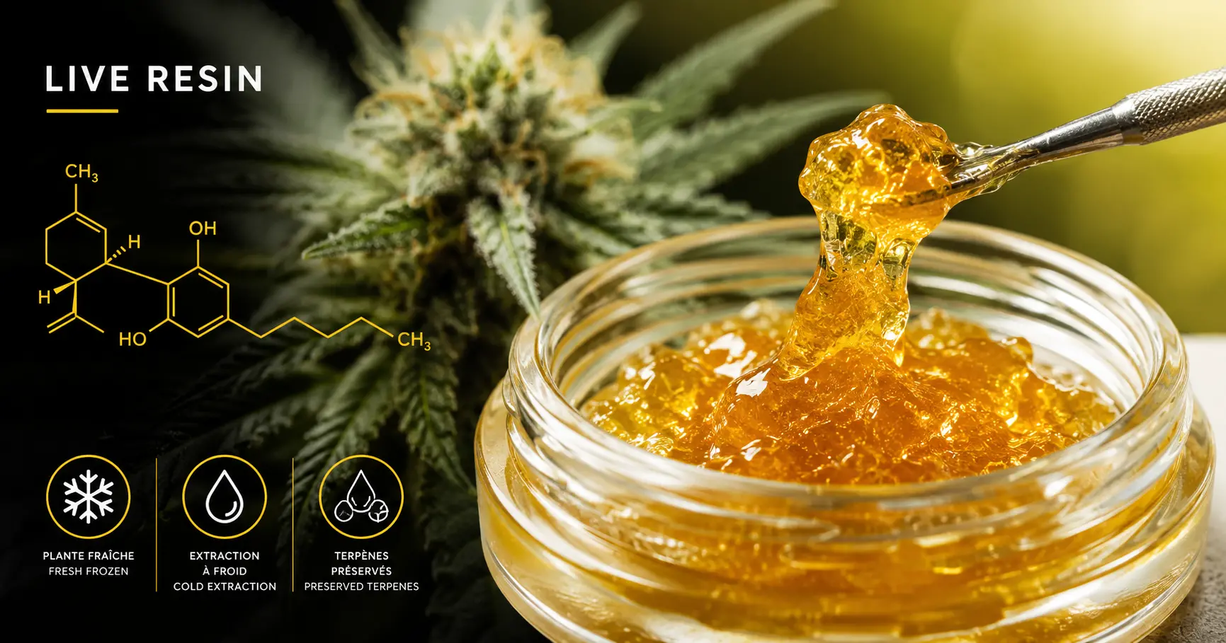 Live Rosin