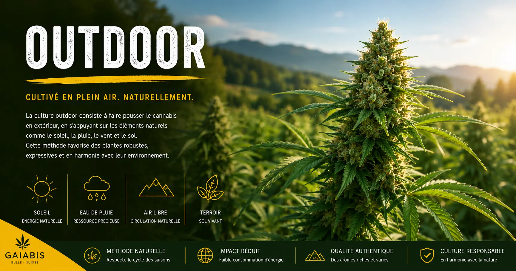 Outdoor