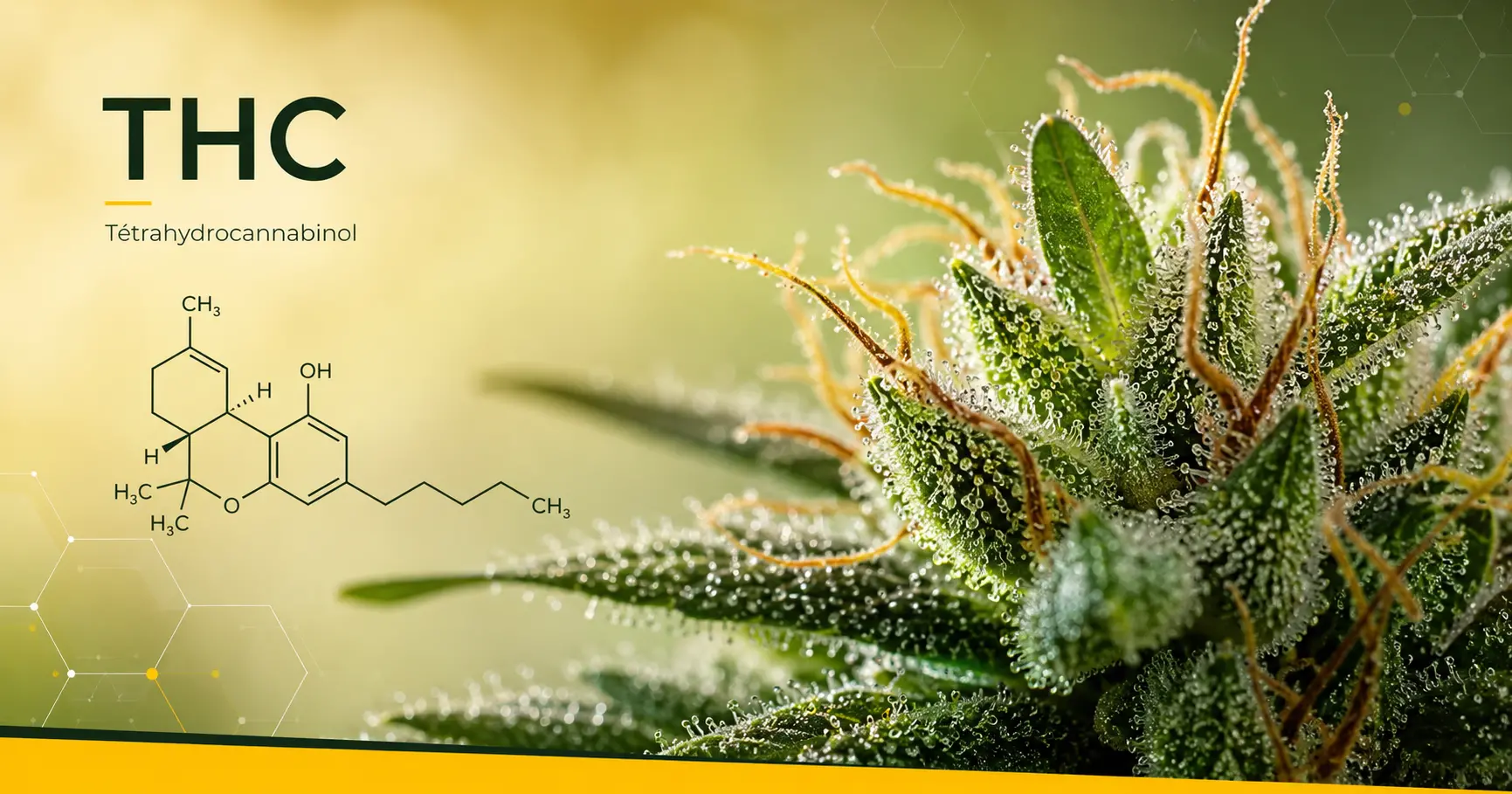 THC