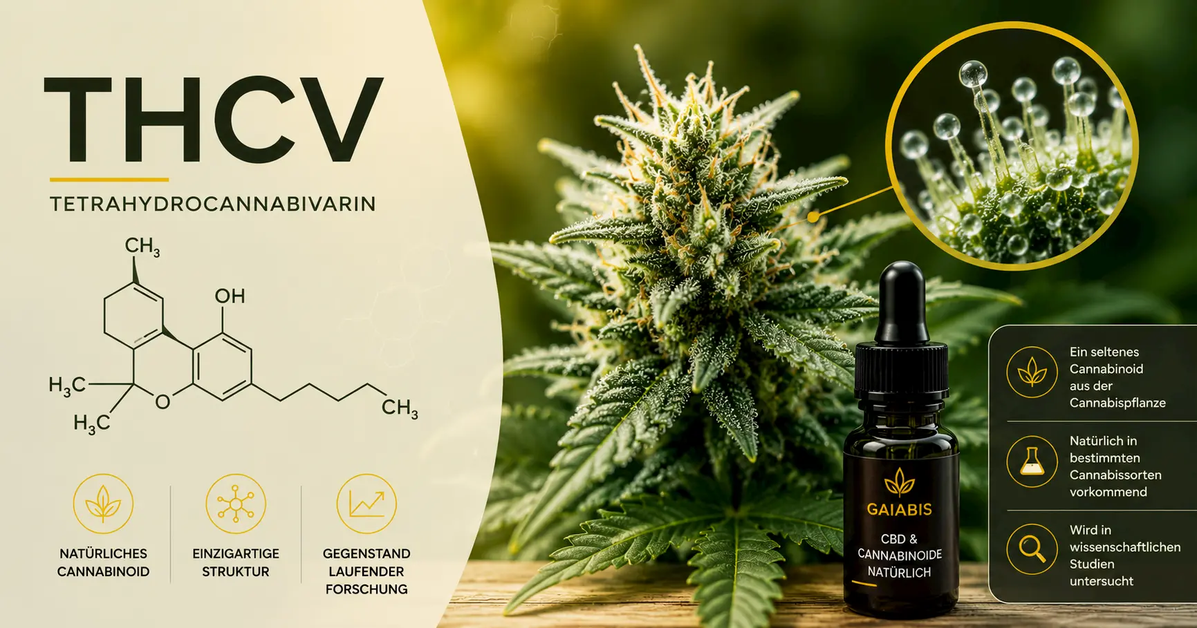 THCV